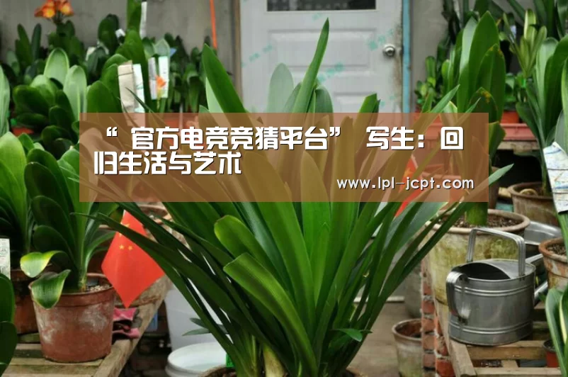 LOL英雄联盟投注 