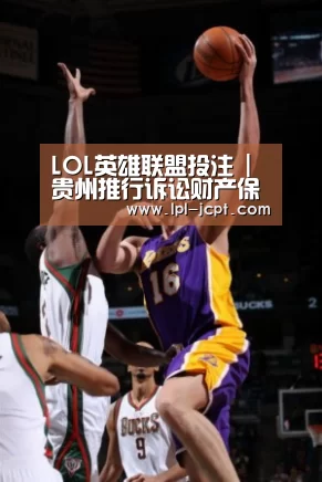 LOL英雄联盟投注 |贵州推行诉讼财产保全险 破解“诉讼难”(图2) LOL英雄联盟投注
